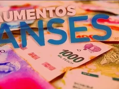 anses-aumentos-2019-suaf-jubilacion