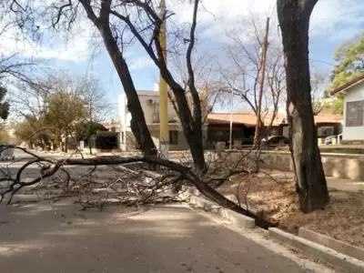 viento-zonda-incendios-distintas-zonas-de-mendoza-intransitrable-ruta-nacional-7-40-2019-