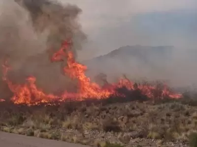 incendio-en-el-challao-mendoza-videos.viento-zonda