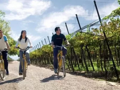 mendoza-55-mil-turistas-92-por-ciento-ocupacion-fin-de-semana-largo