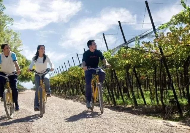 mendoza-55-mil-turistas-92-por-ciento-ocupacion-fin-de-semana-largo