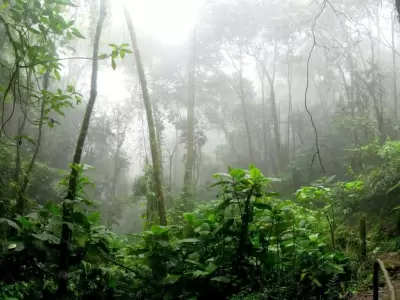 amazonas-2