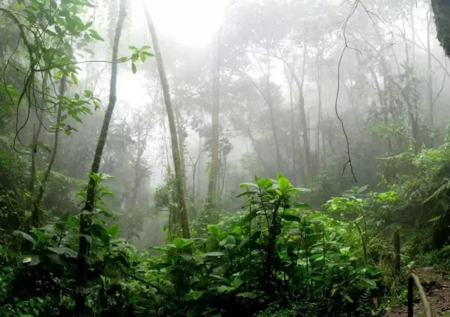 amazonas-2