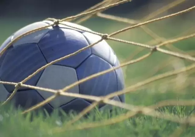 sonargol1