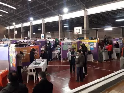 4-foto-2