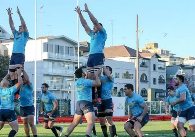 Los-Pumas
