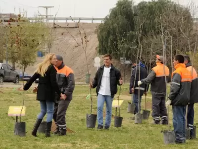 expo-arbol-18