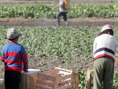 Trabajo-Infantil-Mendoza