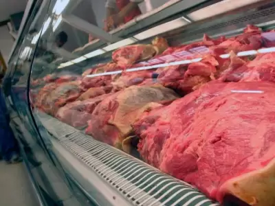 carnes-aumento