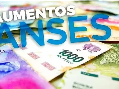 anses-aumentos-2019-suaf-jubilacion