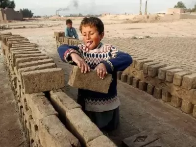 trabajo-infantil-en-mendoza-proyecto-de-ley-diputada-marcela-fernandez
