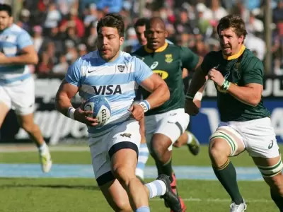 pumas-rugby