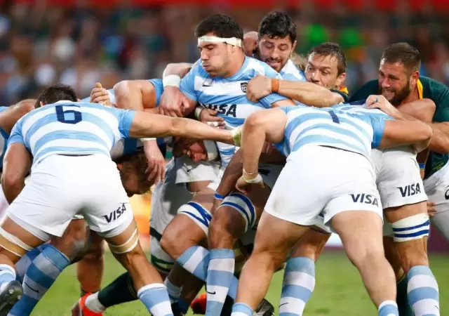 los-pumas-sud�frica