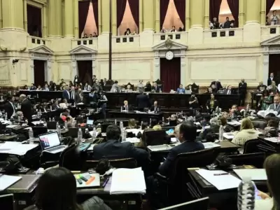 emergencia-alimentaria-ley-diputados