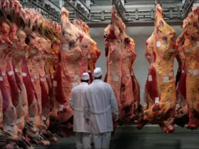 carne-3