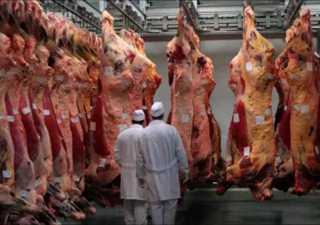 carne-3