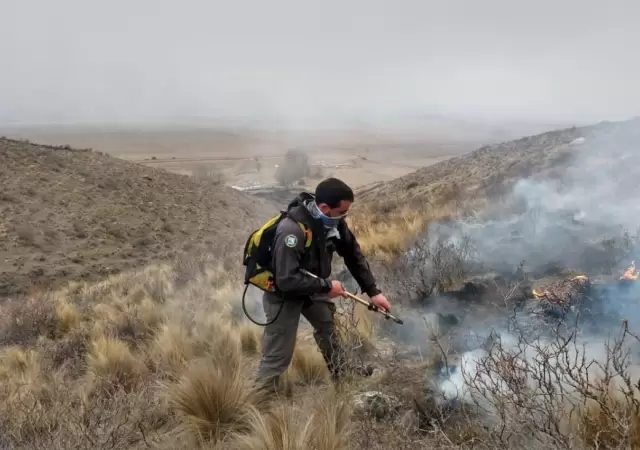 incendios-forestales