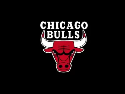 bulls