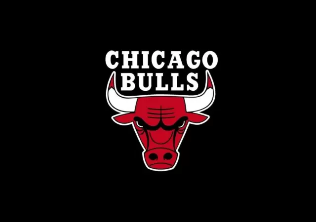 bulls