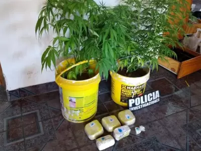 droga-allanamiento-coca�na-policiales