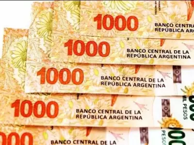 bonificacion-especial-2019-anses