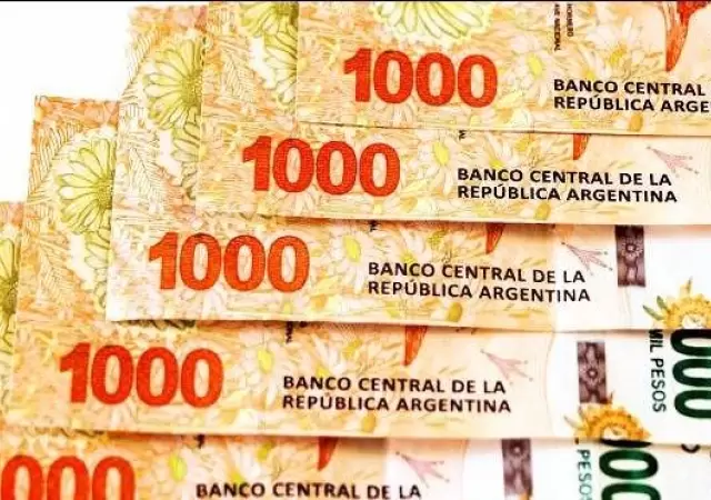 bonificacion-especial-2019-anses