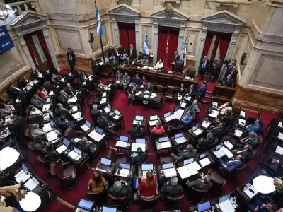 camara-de-senadores-nacional