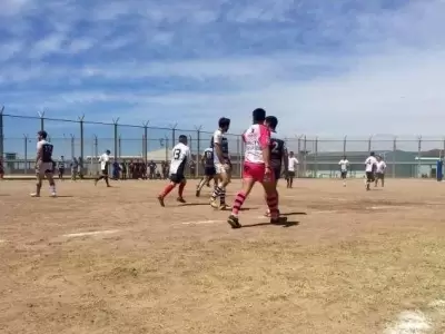 Rugby-inclusivo