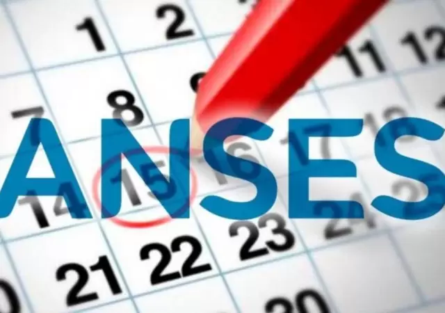 anses-que-cobro-auh-suaf-noviembre-2019