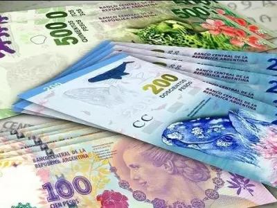 anses-bonificacion-especial-2019