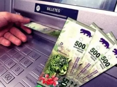 presentar-libreta-anses-online