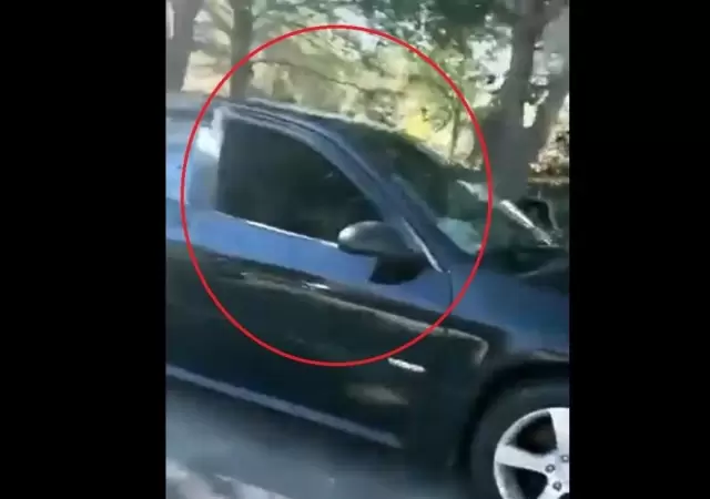 auto-ventana-gatos-video-viral-