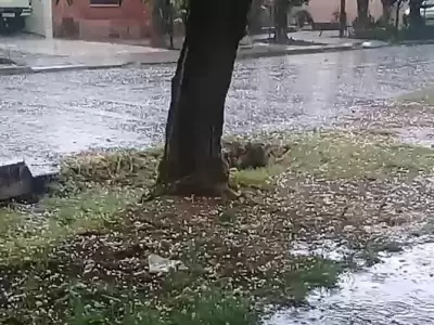 lluvia