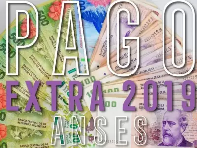 pago-extra-2019-anses-libreta