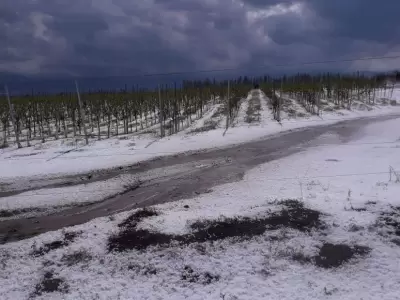 granizo-mendoza-piedra-tormenta-jueves-88