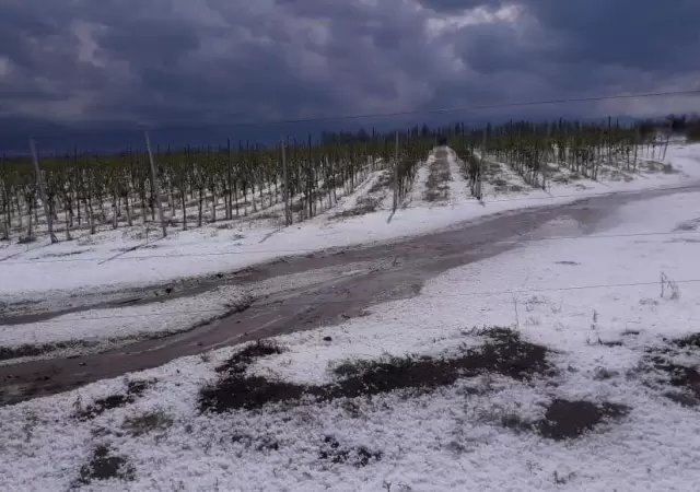 granizo-mendoza-piedra-tormenta-jueves-88