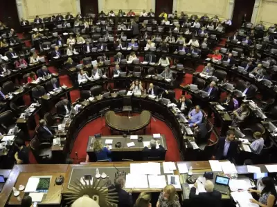 diputados