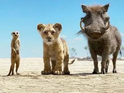 elreyleon