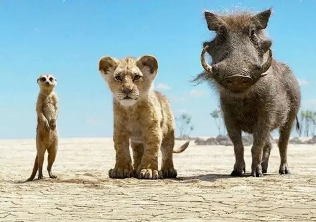 elreyleon