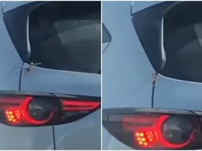 ara�a-auto