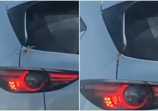 ara�a-auto