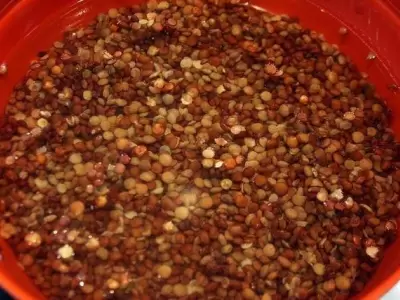 guiso-de-lentejas