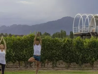 Yoga-en-los-Caminos-del-Vino-750x400