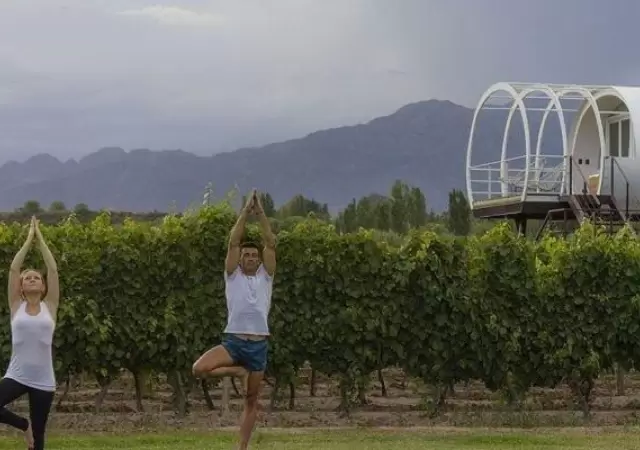 Yoga-en-los-Caminos-del-Vino-750x400