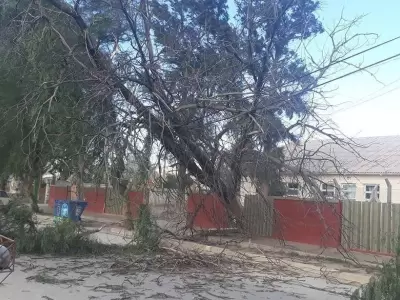 diario-la-provincia-viento-zonda-en-san-juan