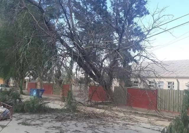 diario-la-provincia-viento-zonda-en-san-juan