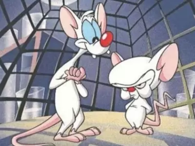 pinky-cerebro
