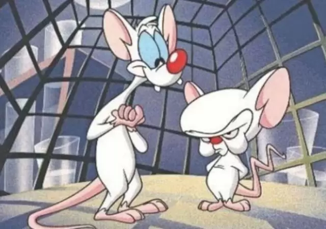 pinky-cerebro