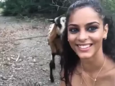 cabra-viral-video-foto