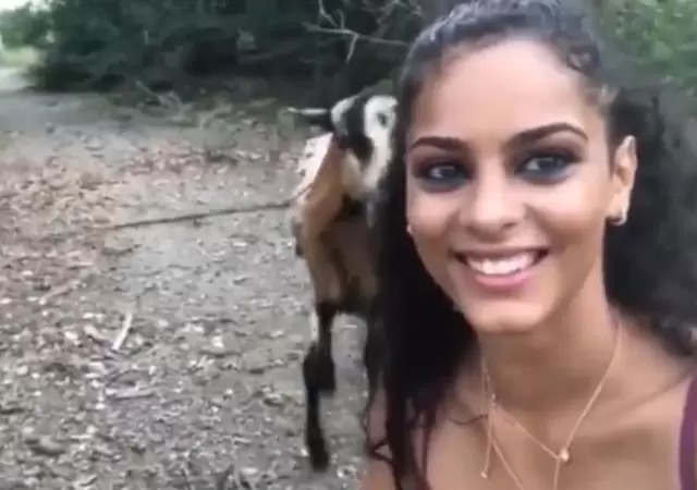 cabra-viral-video-foto